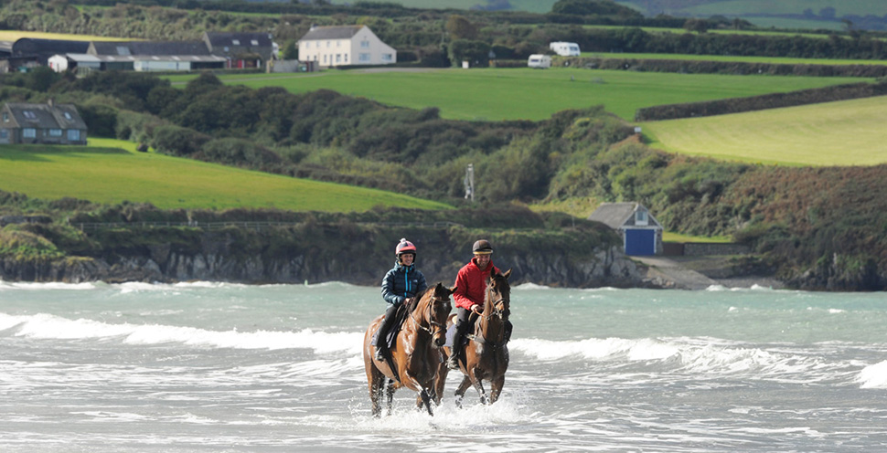 horses moving through water